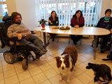 O dotace mohou nově žádat i organizace, které cvičí asistenční psy pro lidi s postižením